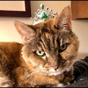 Meet your Posher, Joan